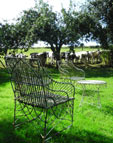 Garden seat and cows